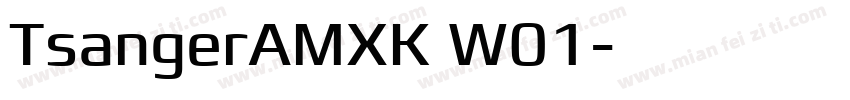 TsangerAMXK W01字体转换